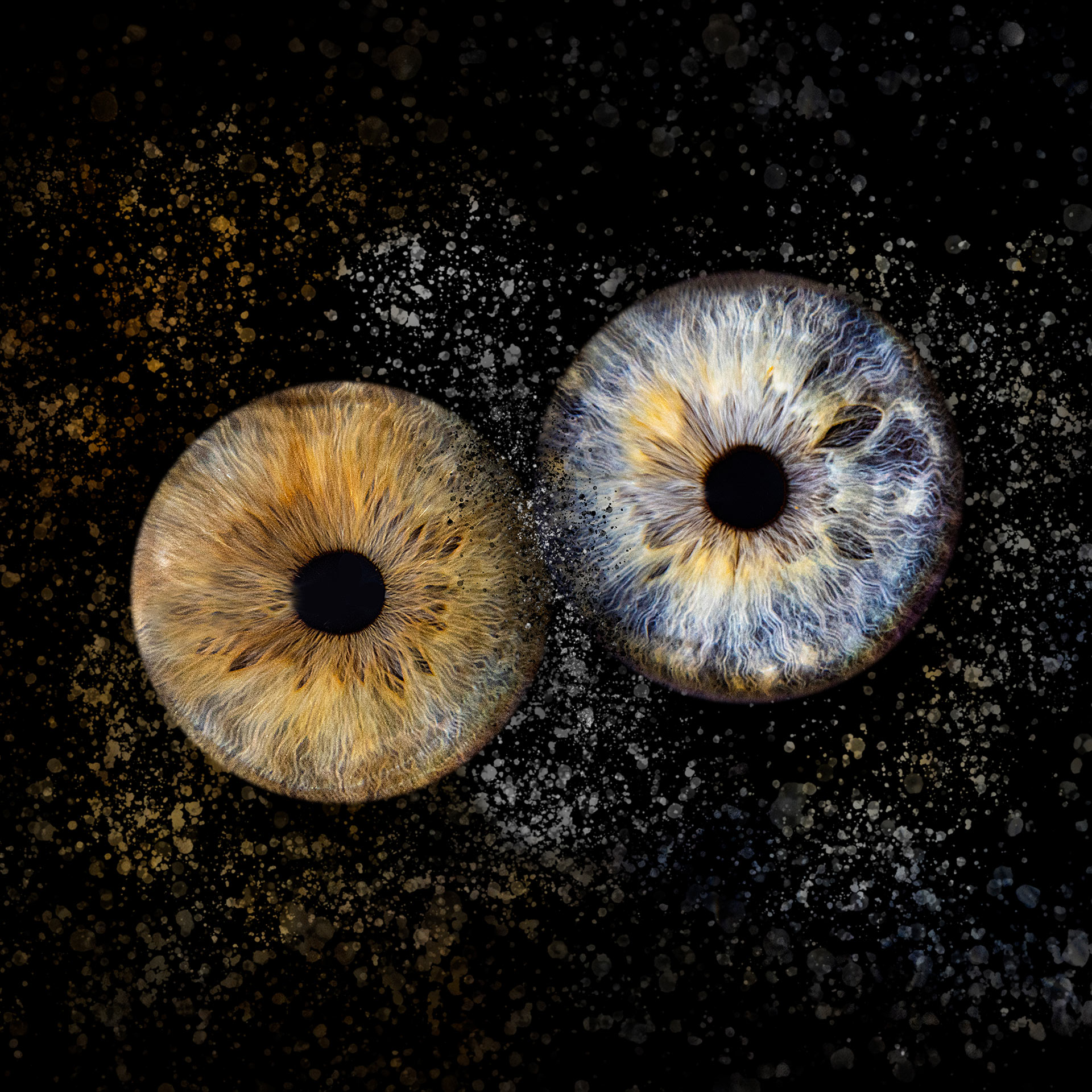 Beispiel Iris-Paarmotiv | Iris-Fotografie bei Foto Forstmeyer, Bad Säckingen